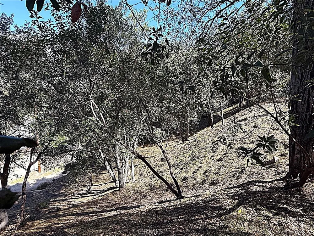 High Cliff Trail Tujunga, CA 91042