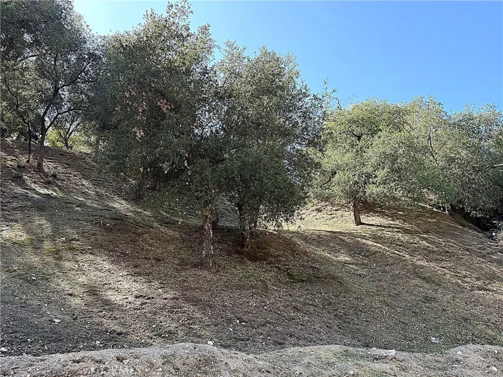 High Cliff Trail Tujunga, CA 91042