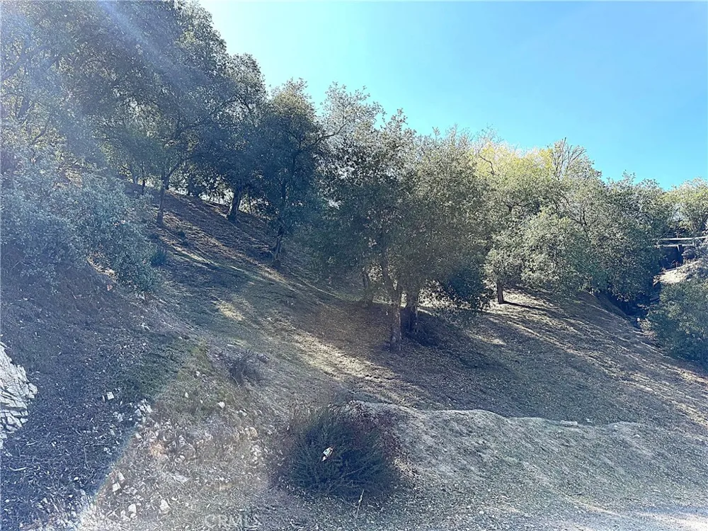 High Cliff Trail Tujunga, CA 91042