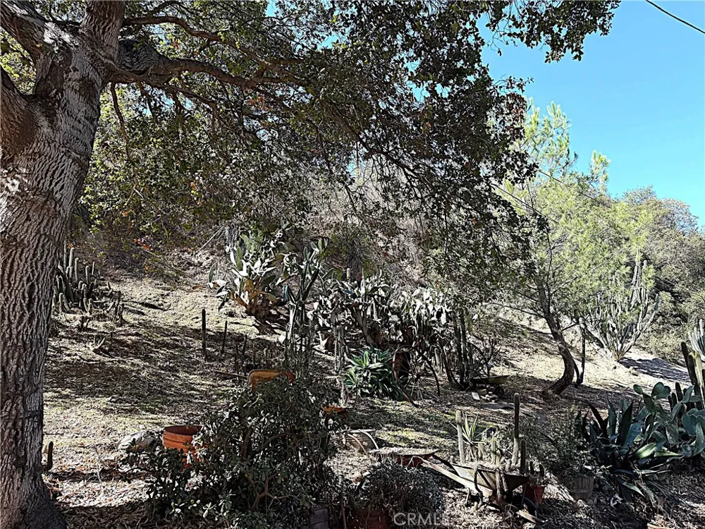 High Cliff Trail Tujunga, CA 91042