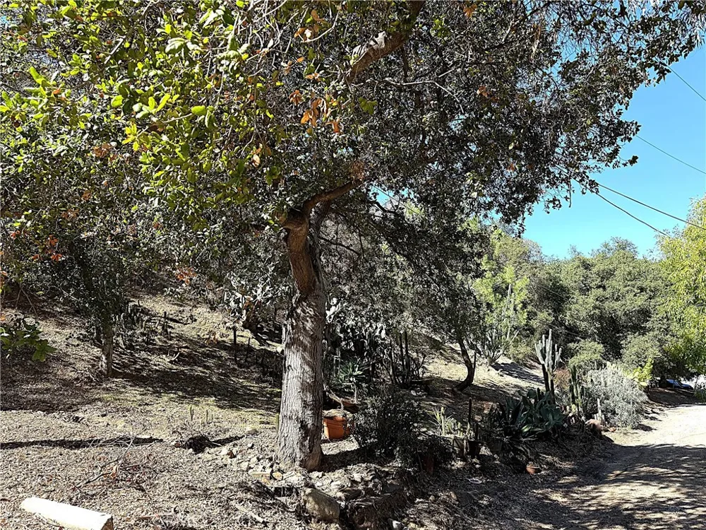 High Cliff Trail Tujunga, CA 91042