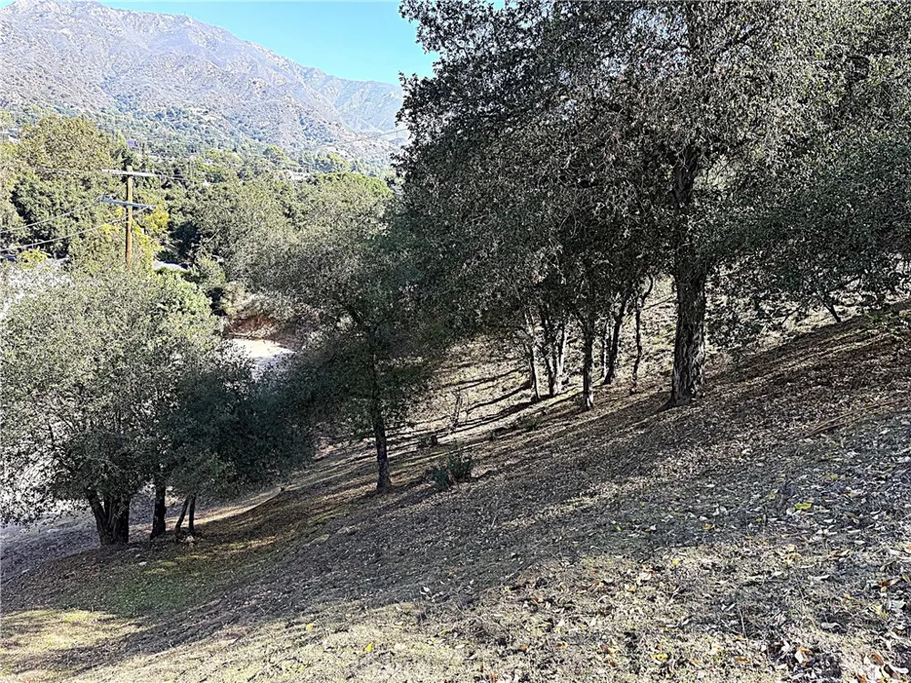 High Cliff Trail Tujunga, CA 91042