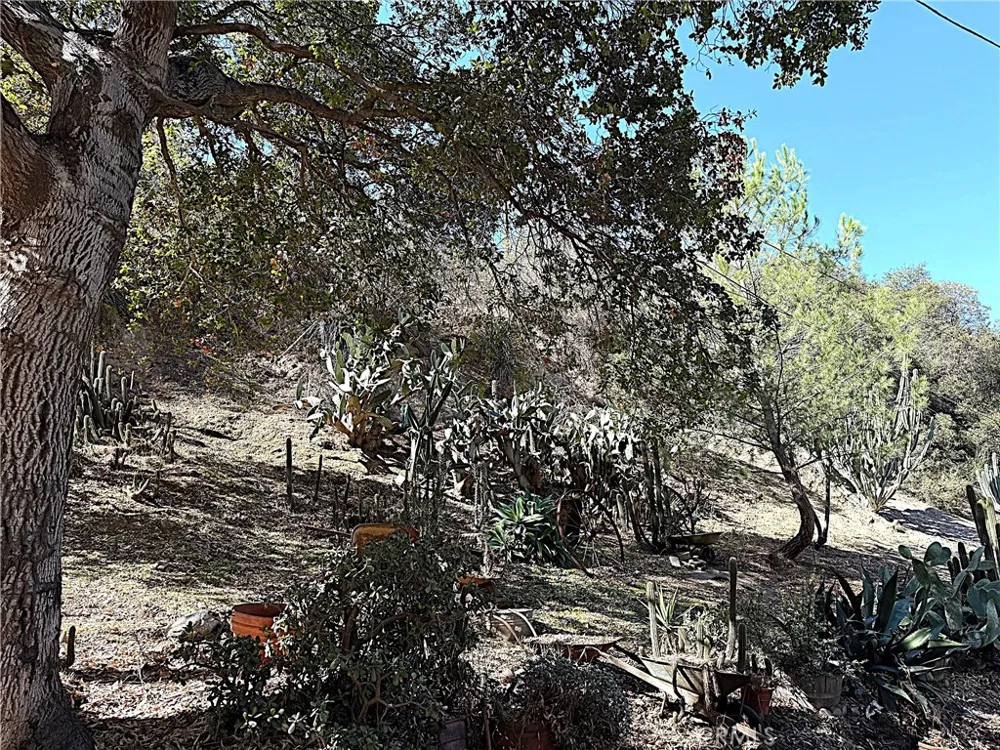 High Cliff Trail Tujunga, CA 91042
