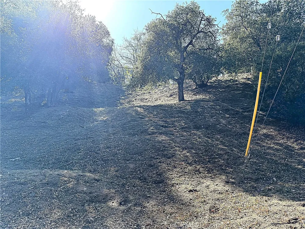 High Cliff Trail Tujunga, CA 91042