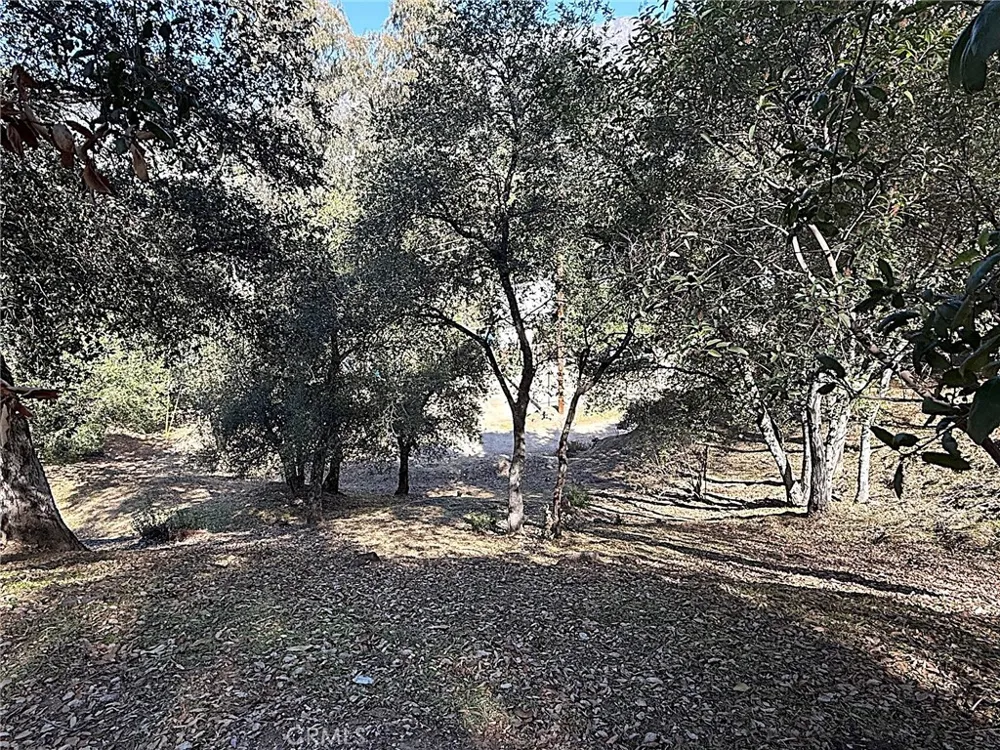 High Cliff Trail Tujunga, CA 91042