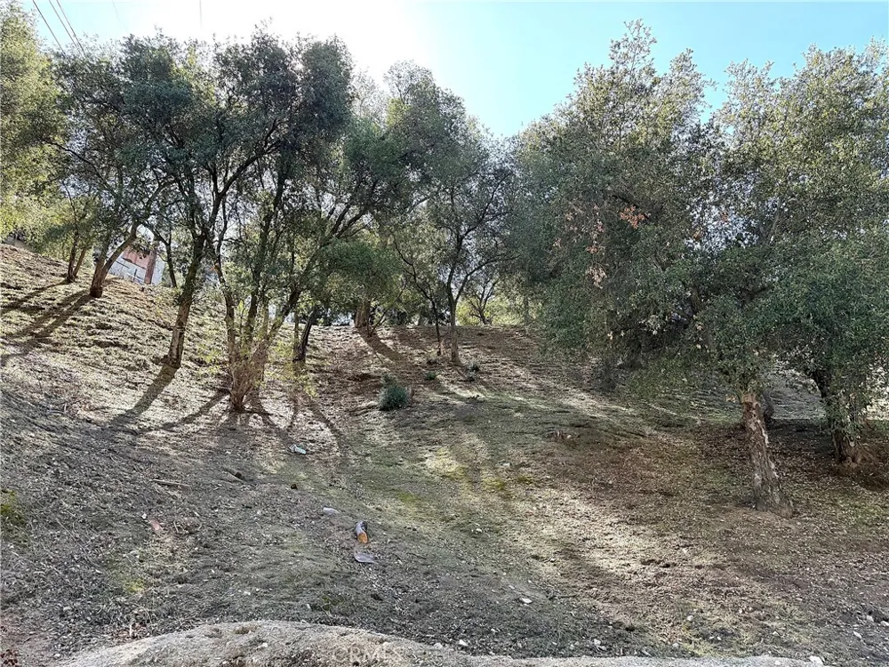 High Cliff Trail Tujunga, CA 91042