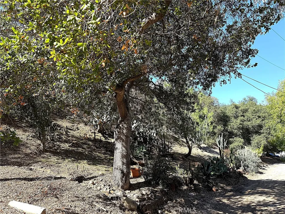 High Cliff Trail Tujunga, CA 91042