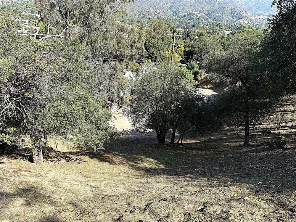 High Cliff Trail Tujunga, CA 91042