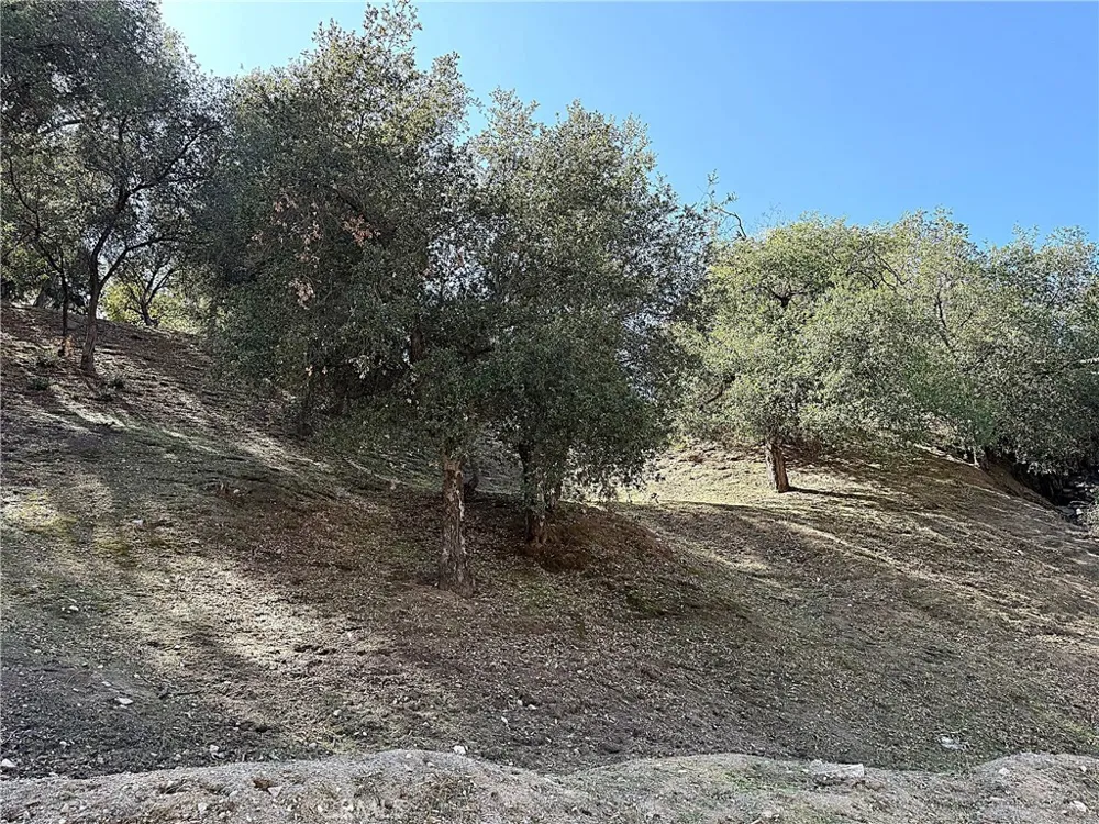High Cliff Trail Tujunga, CA 91042