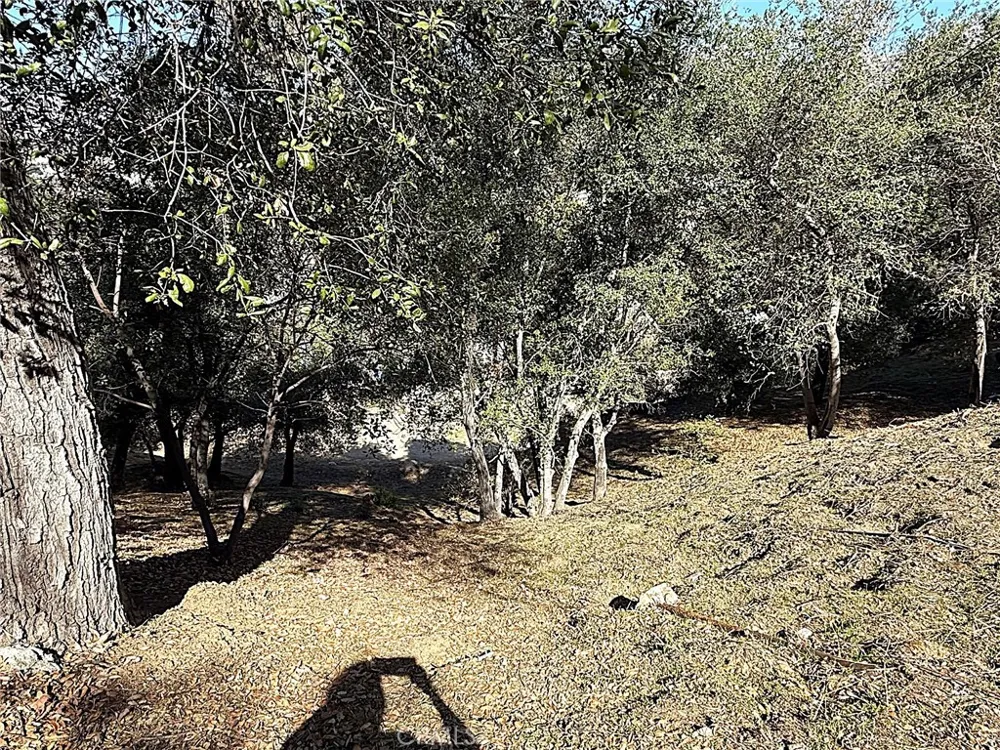 High Cliff Trail Tujunga, CA 91042