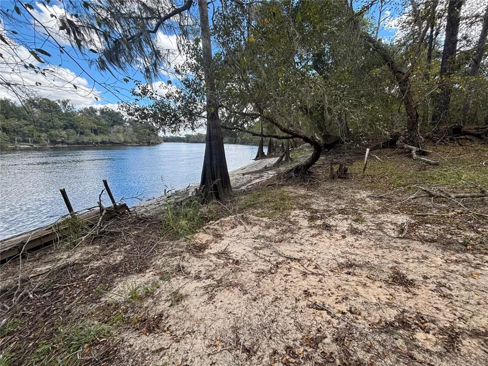 1347 NE 519TH AVENUE Old Town, FL 32680