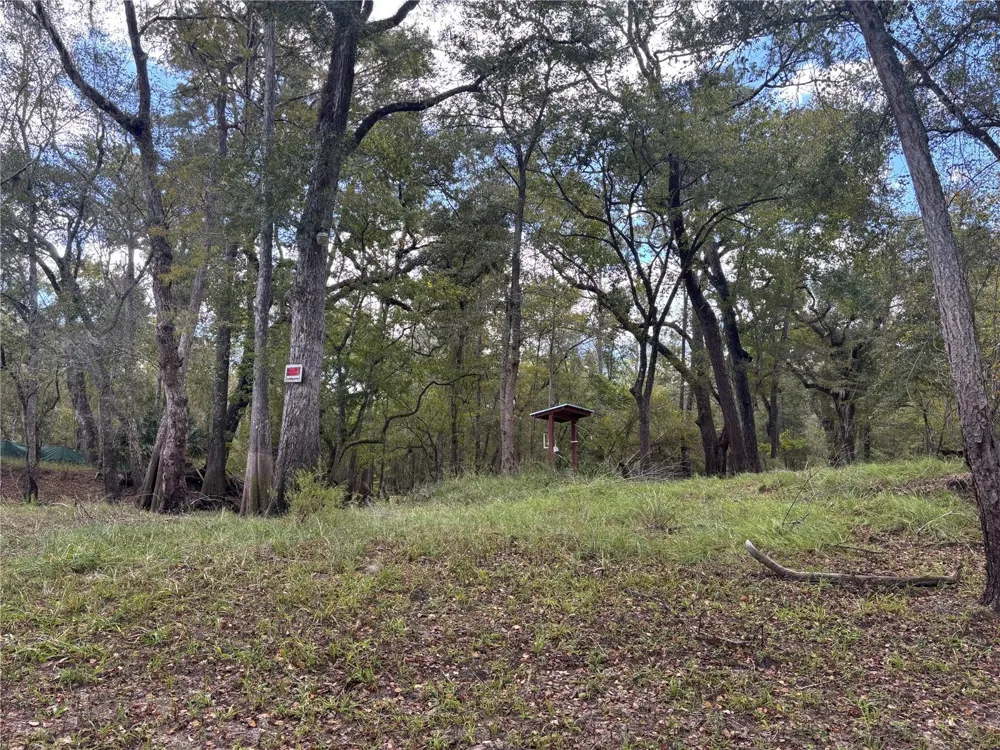 1347 NE 519TH AVENUE Old Town, FL 32680