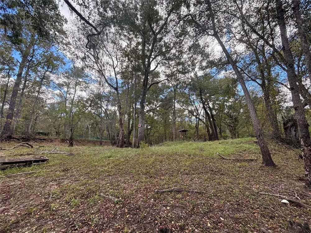 1347 NE 519TH AVENUE Old Town, FL 32680