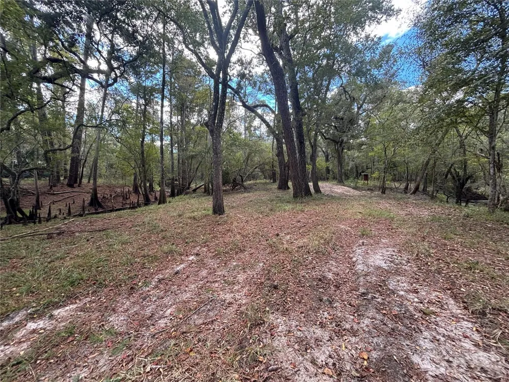 1347 NE 519TH AVENUE Old Town, FL 32680