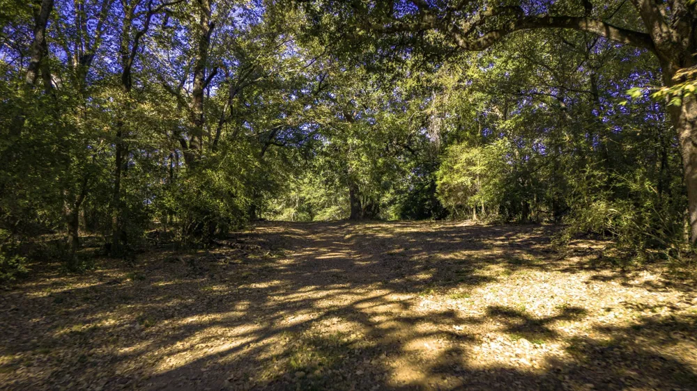 Interstate 45 Fairfield, TX 75840