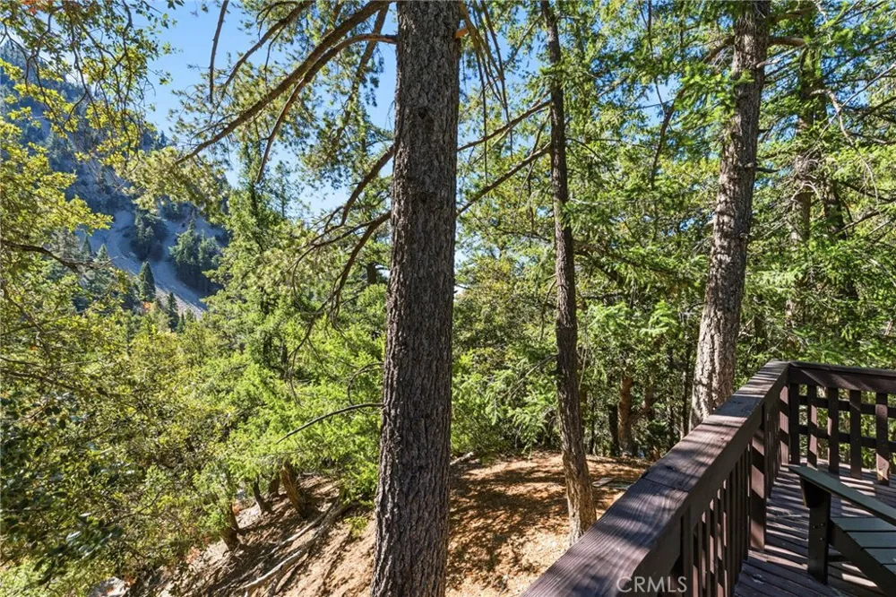 34 Manker Flats Mt Baldy, CA 91759