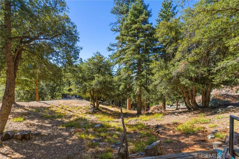 34 Manker Flats Mt Baldy, CA 91759