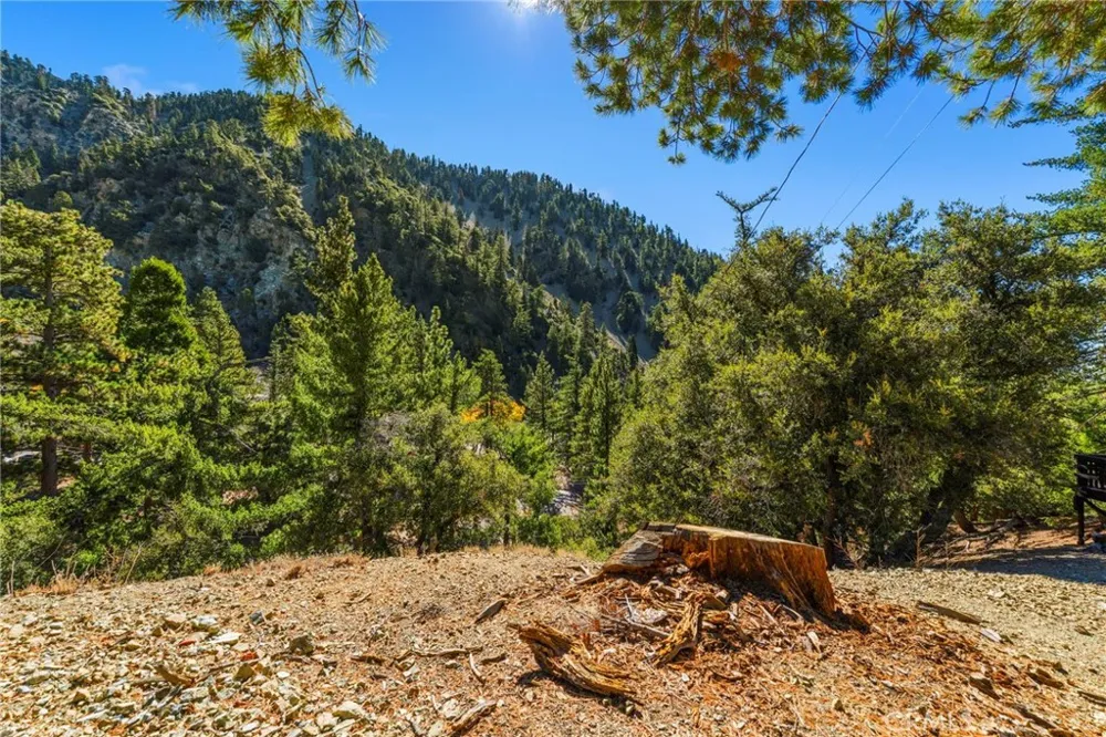 34 Manker Flats Mt Baldy, CA 91759