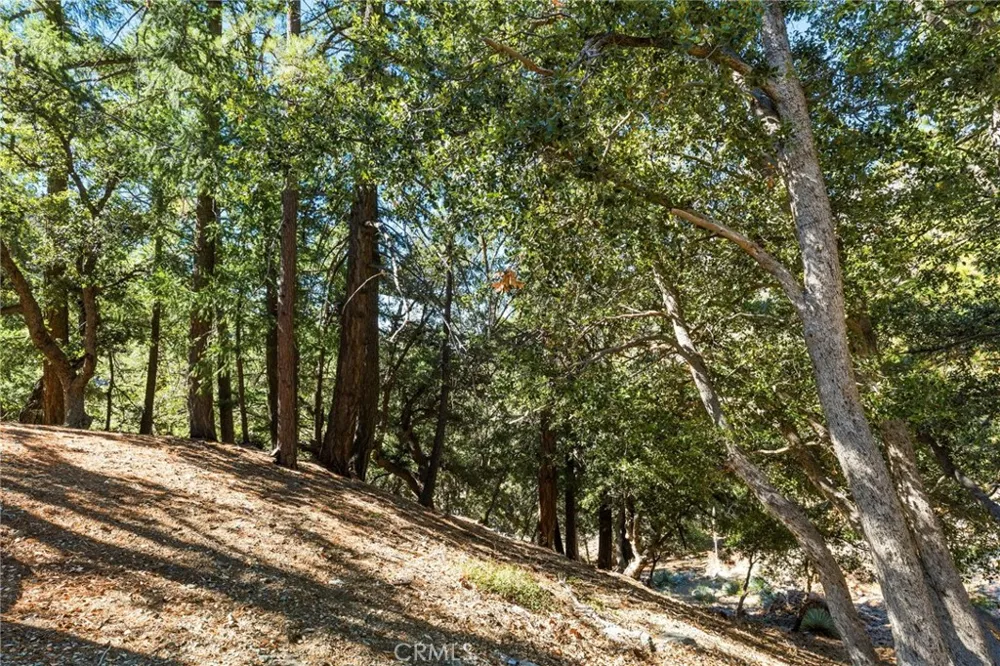 34 Manker Flats Mt Baldy, CA 91759