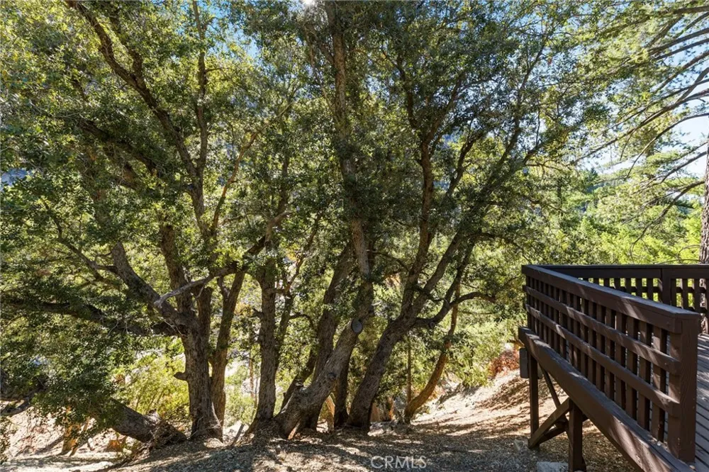34 Manker Flats Mt Baldy, CA 91759