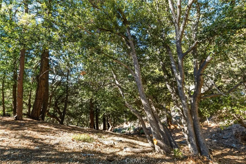 34 Manker Flats Mt Baldy, CA 91759
