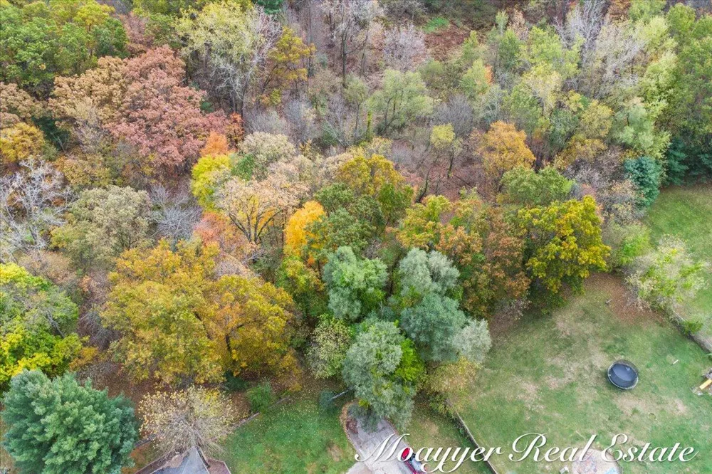 632 Edgewood Drive Belding, MI 48809