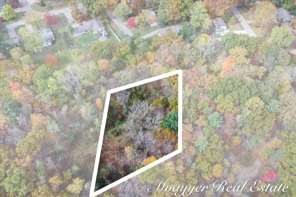 632 Edgewood Drive Belding, MI 48809