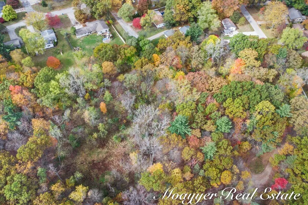 632 Edgewood Drive Belding, MI 48809