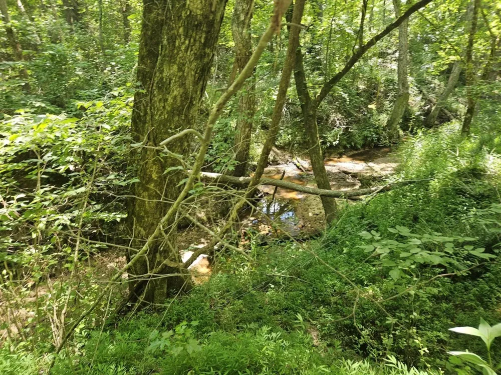 160 Bishop Rd Middleton, TN 38052