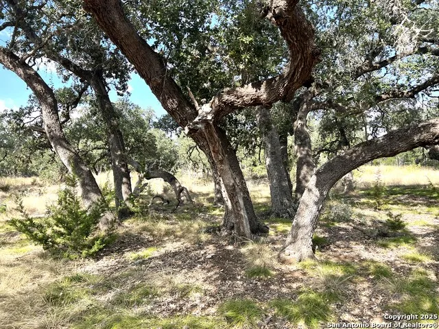 630 Indian Mound Tarpley, TX 78883