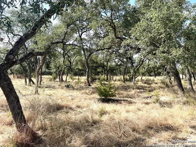 630 Indian Mound Tarpley, TX 78883