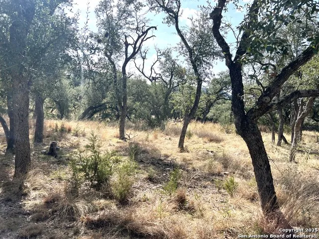 630 Indian Mound Tarpley, TX 78883