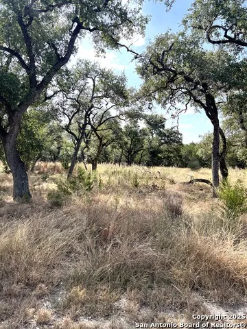 630 Indian Mound Tarpley, TX 78883