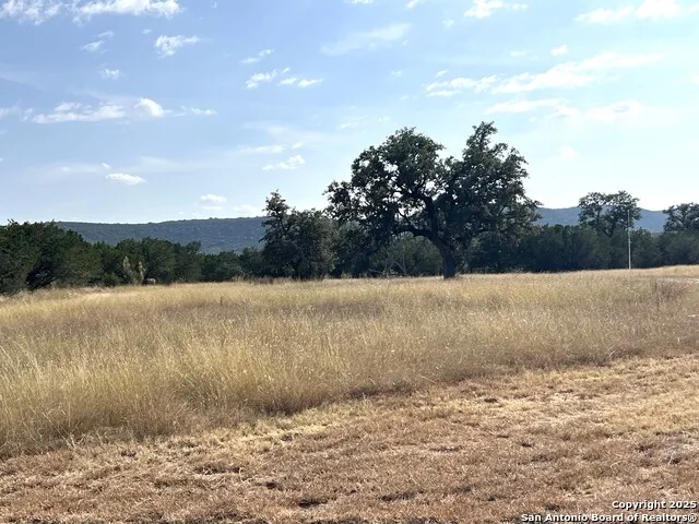 630 Indian Mound Tarpley, TX 78883