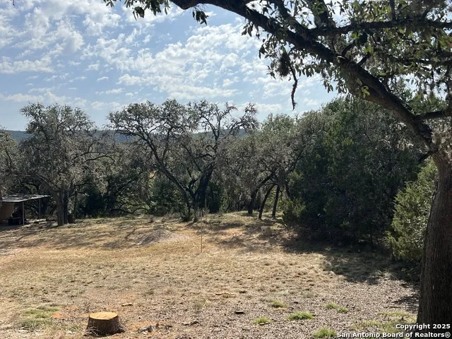 630 Indian Mound Tarpley, TX 78883