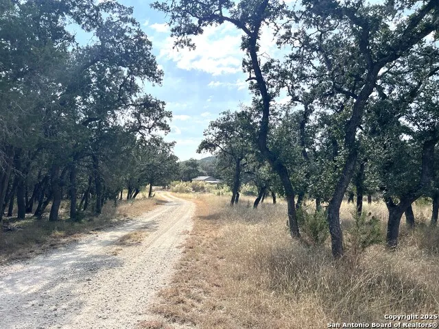 630 Indian Mound Tarpley, TX 78883