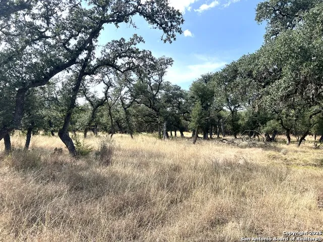 630 Indian Mound Tarpley, TX 78883