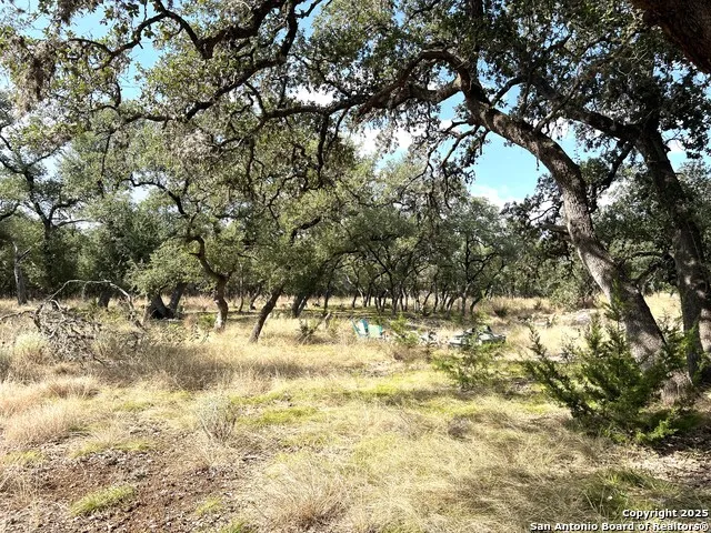 630 Indian Mound Tarpley, TX 78883