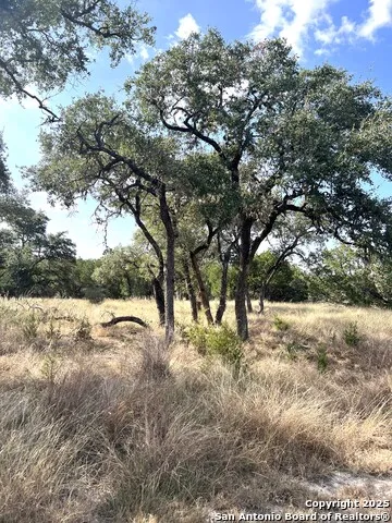 630 Indian Mound Tarpley, TX 78883
