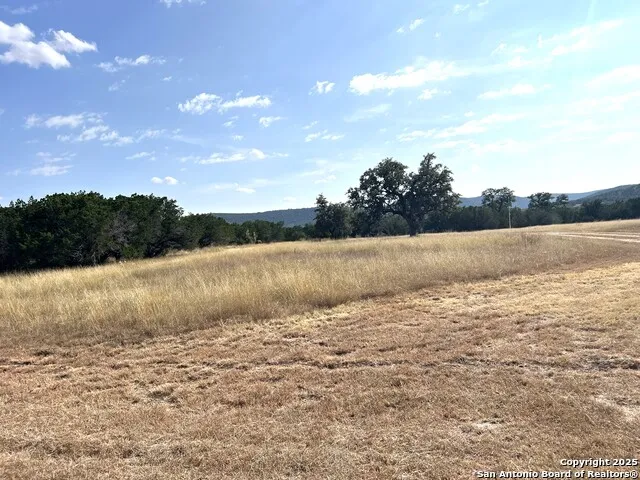 630 Indian Mound Tarpley, TX 78883
