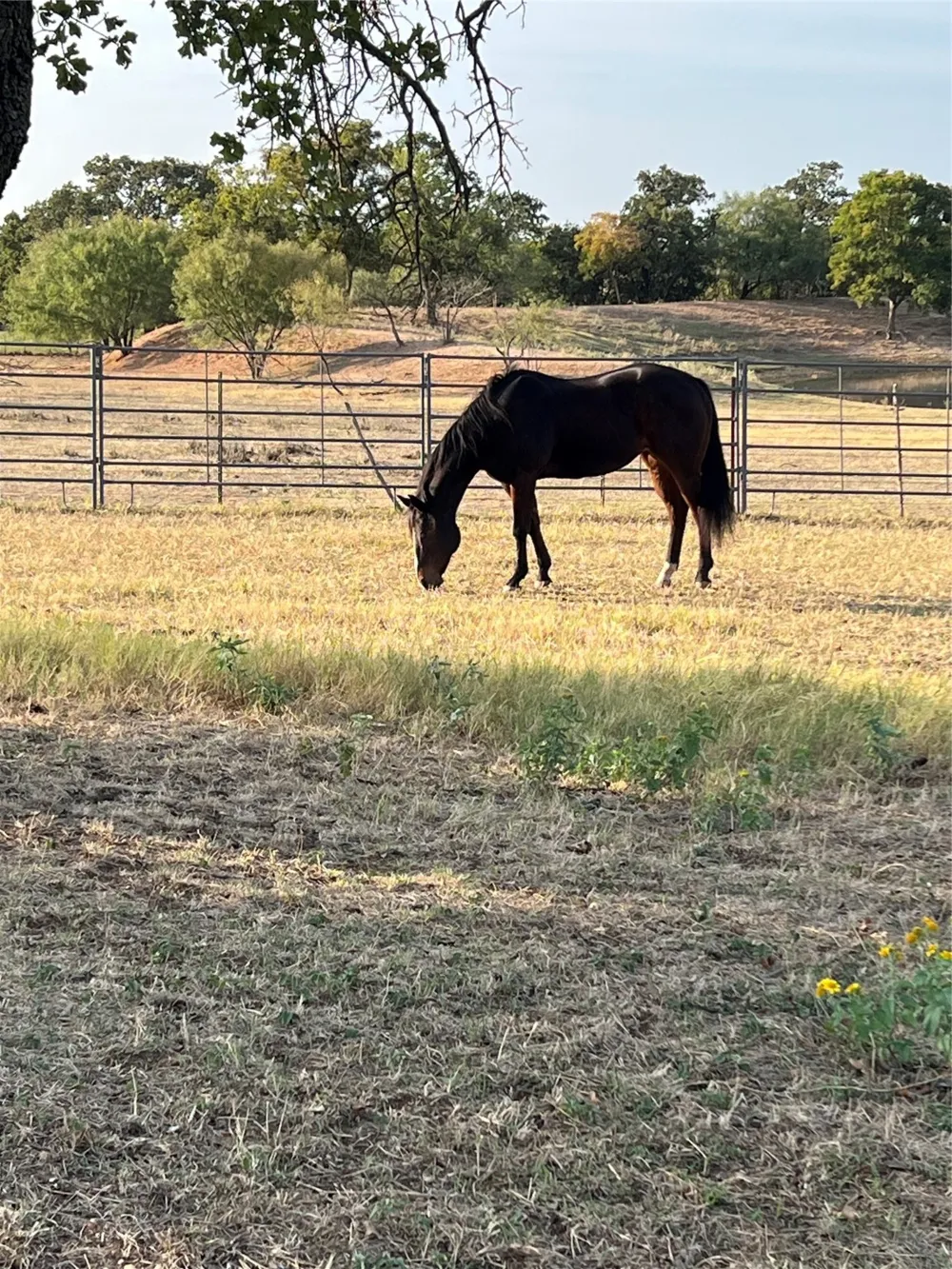 2025 Highway 112 Eastland, TX 76448