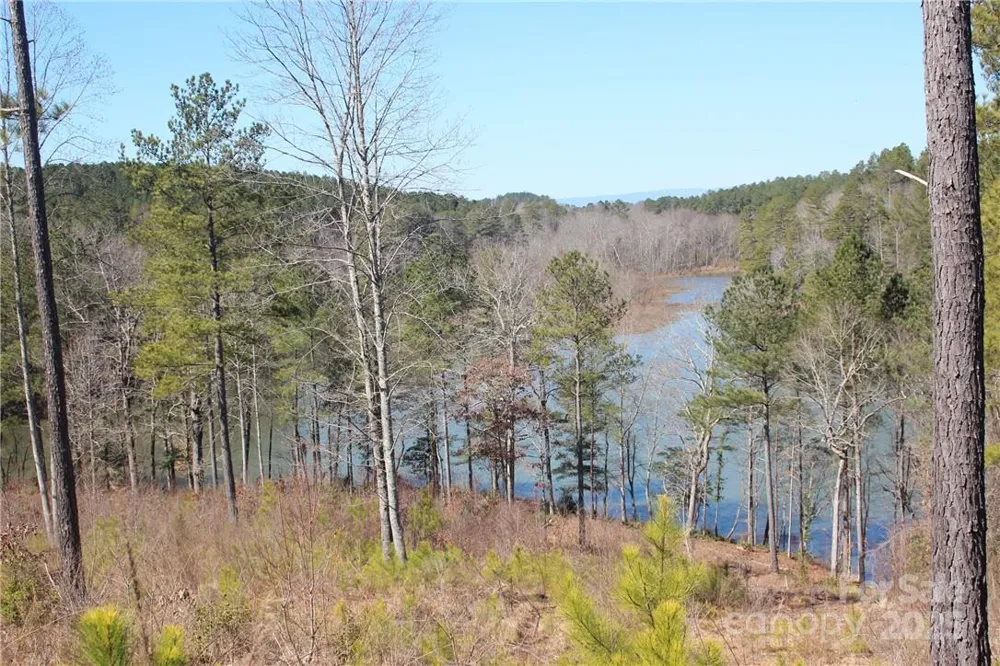 2226 Inlet Shore Road NE #29 Connelly Springs, NC 28612