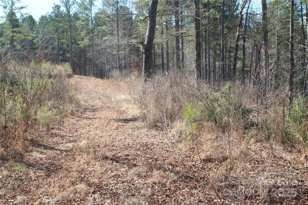 2226 Inlet Shore Road NE #29 Connelly Springs, NC 28612