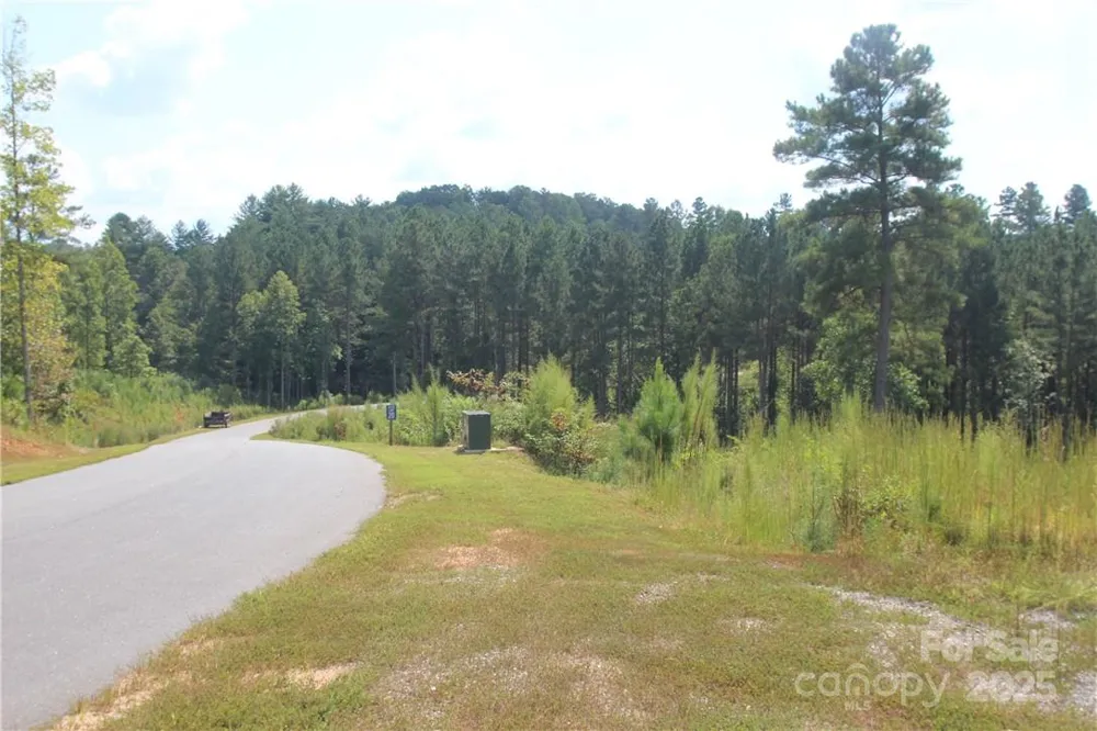 2226 Inlet Shore Road NE #29 Connelly Springs, NC 28612