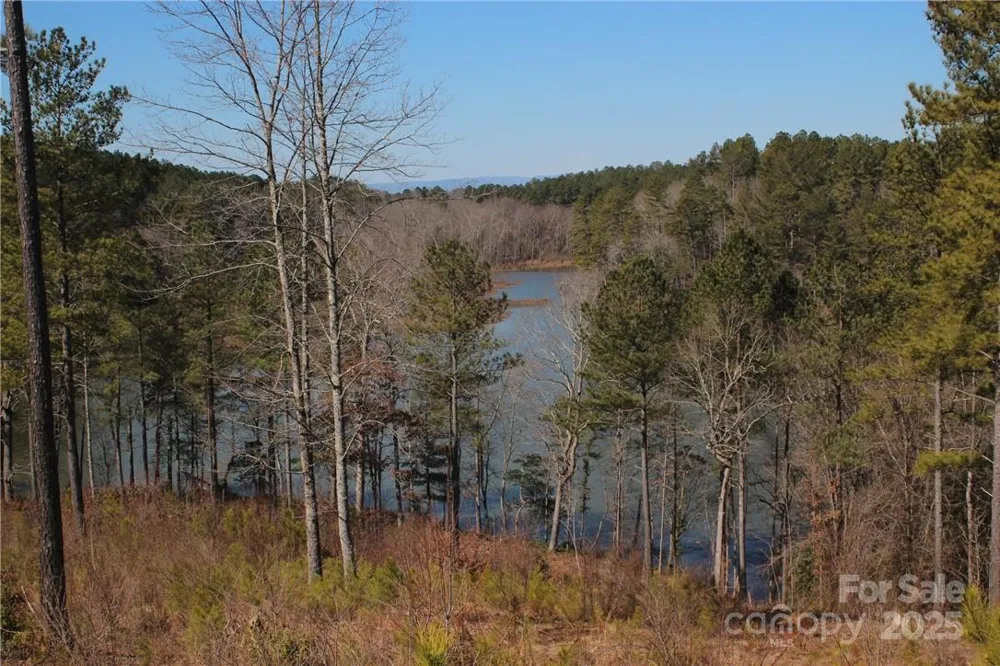 2226 Inlet Shore Road NE #29 Connelly Springs, NC 28612