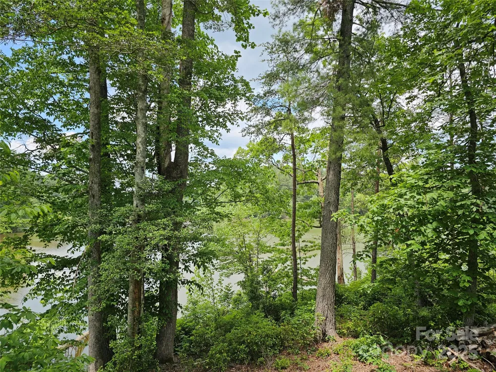2226 Inlet Shore Road NE #29 Connelly Springs, NC 28612