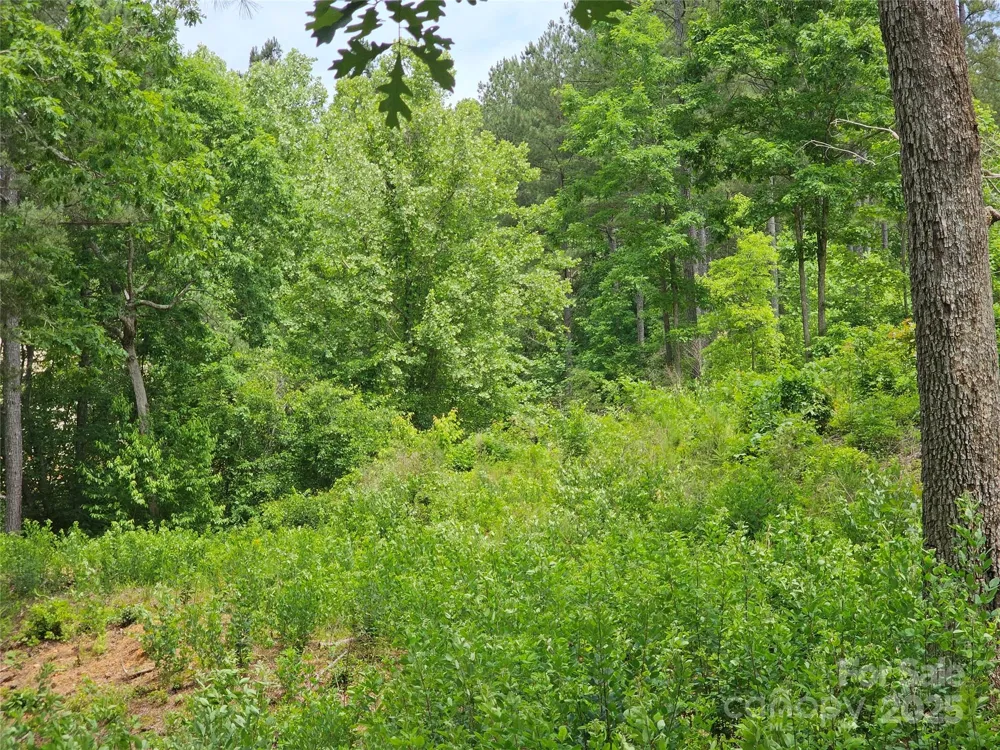 2226 Inlet Shore Road NE #29 Connelly Springs, NC 28612