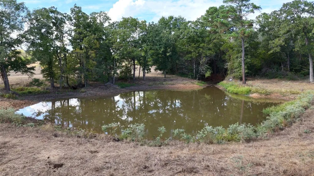 71 Highway Bastrop, TX 78057