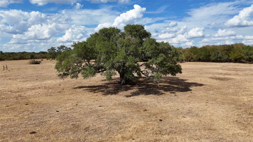 71 Highway Bastrop, TX 78057