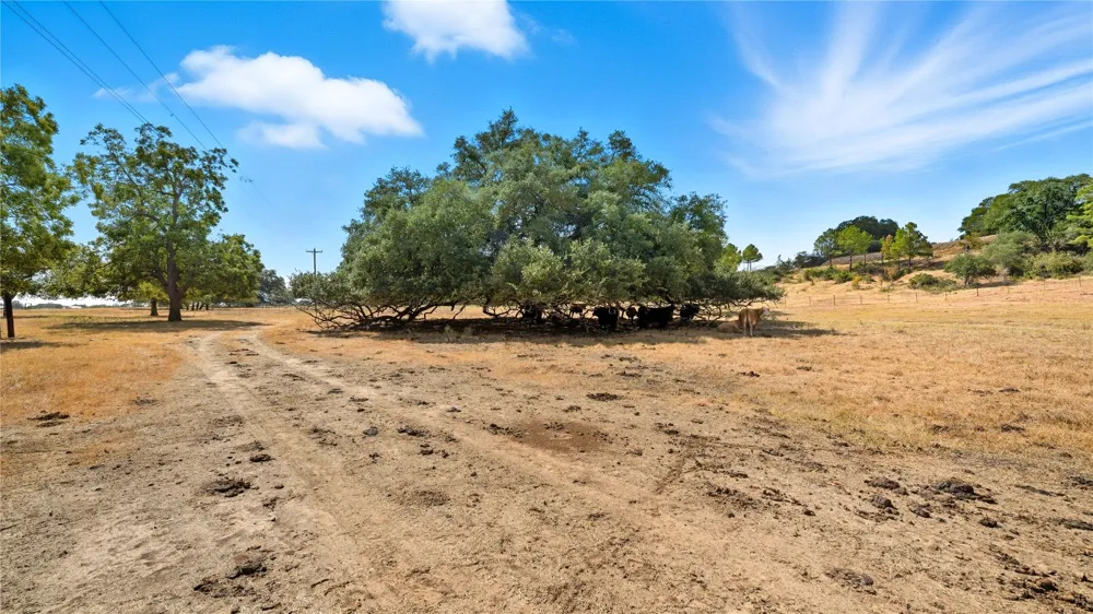 71 Highway Bastrop, TX 78057